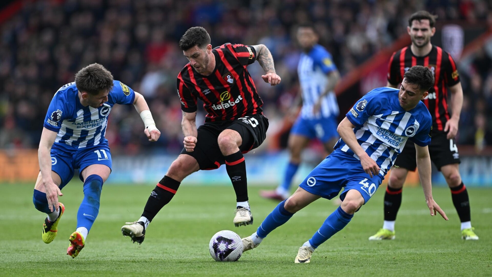 Nhận định Bournemouth vs Brighton 22h00 ngày 23/11